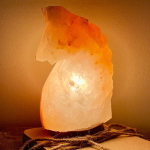 the "Horse" salt lamp