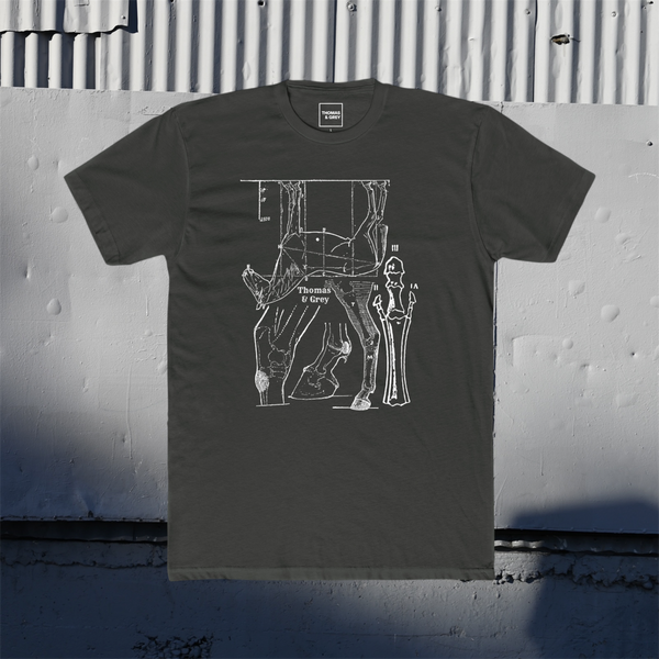 the “Horse Anatomy” tee