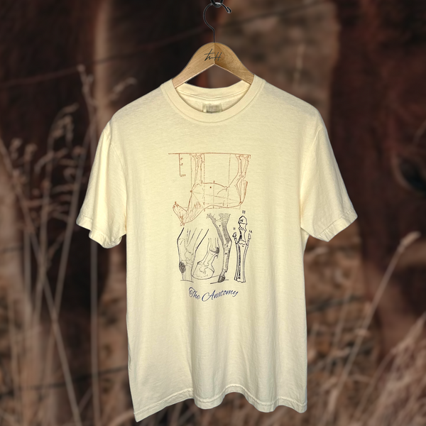 the “Horse Anatomy” tee