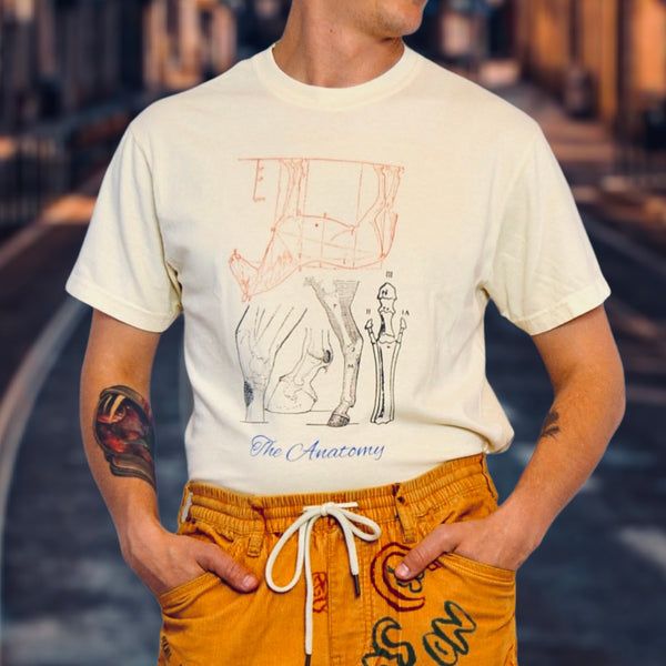 the “Horse Anatomy” tee